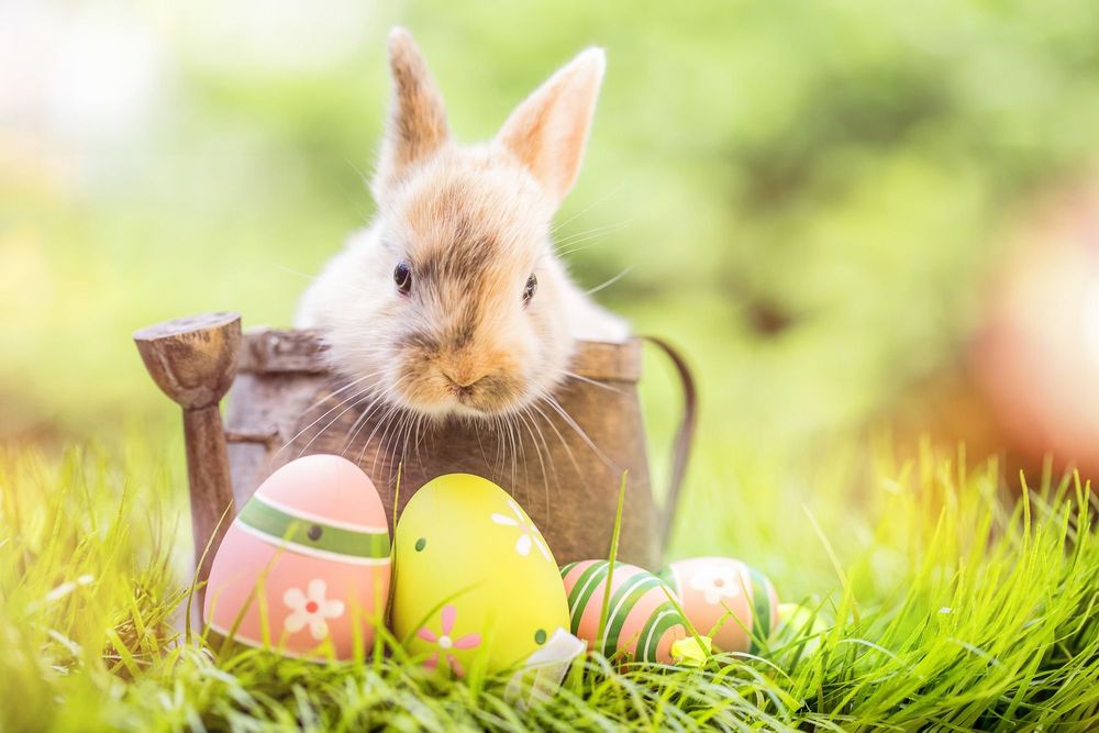 Buona Pasqua a Merano